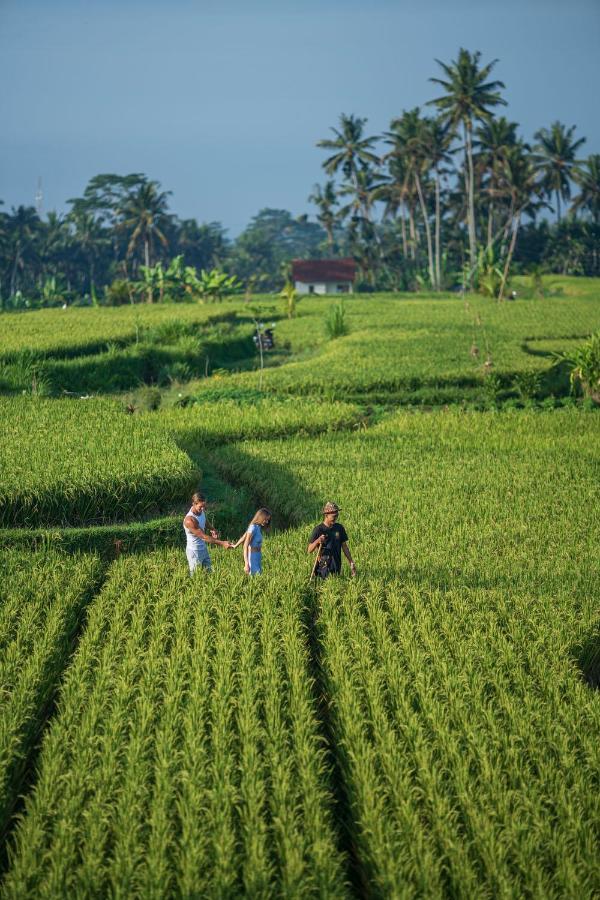 The Sun Of Granary Resort And Villas Ubud Exterior foto