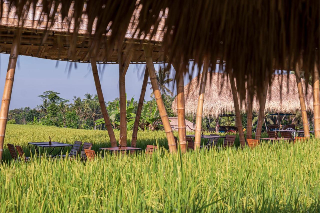 The Sun Of Granary Resort And Villas Ubud Exterior foto
