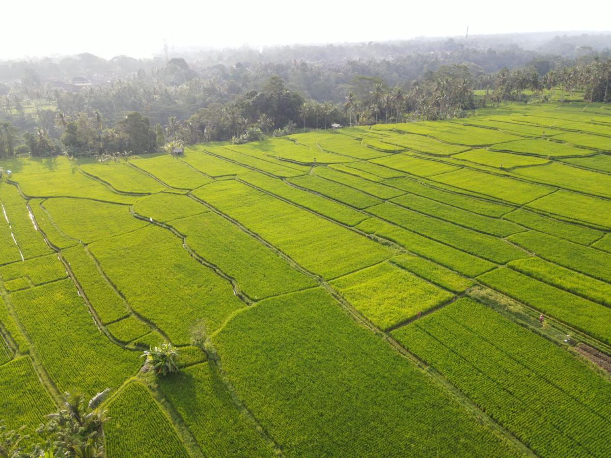 The Sun Of Granary Resort And Villas Ubud Exterior foto